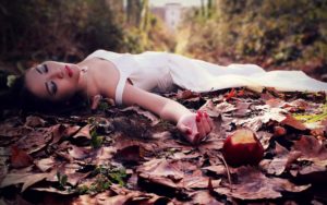 Случай в «Новой Скандинавии»