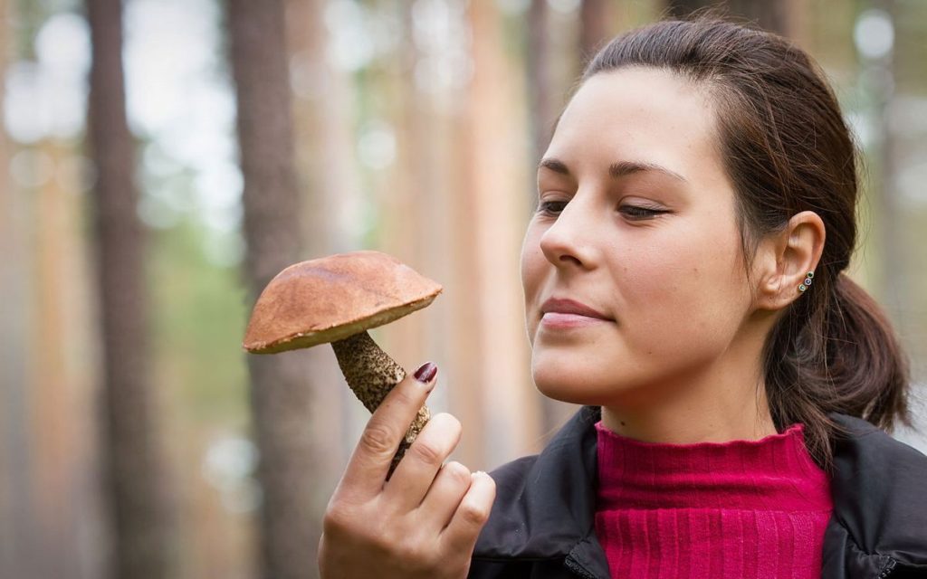 Хендмейд, итальянские светильники и просроченные грибы