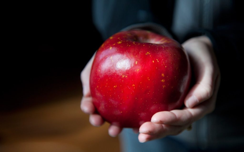 Сама щедрость с Петроградки