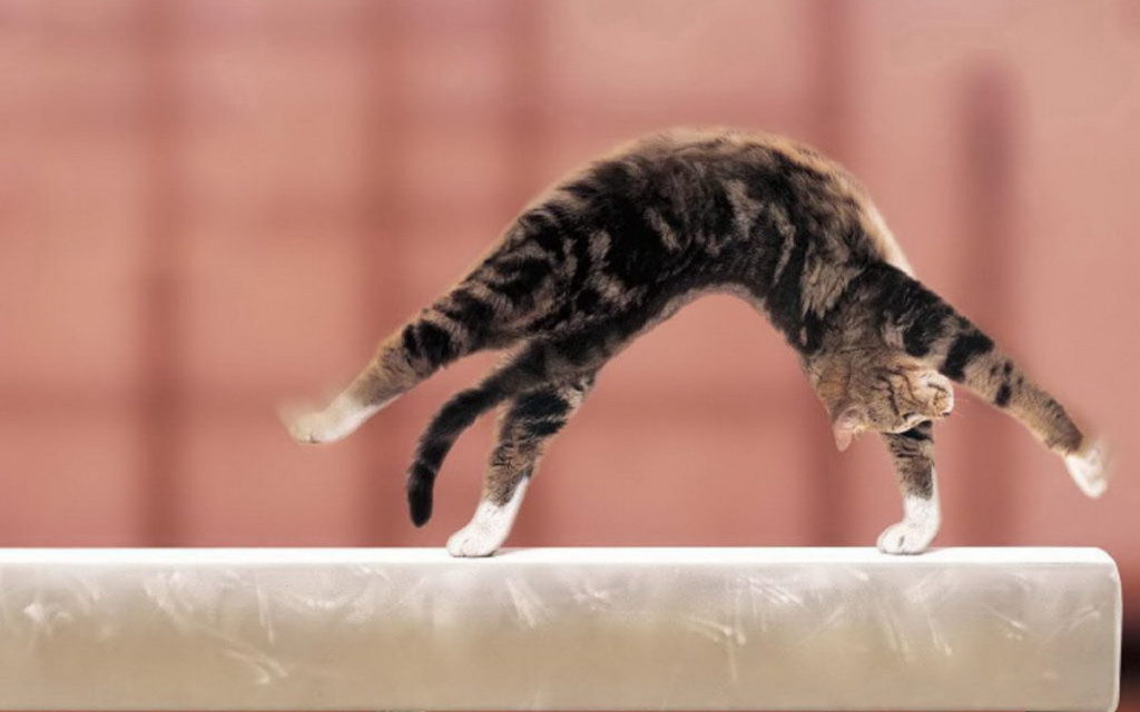 Дали заявку, и выкручивайся как можешь