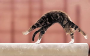 Дали заявку, и выкручивайся как можешь