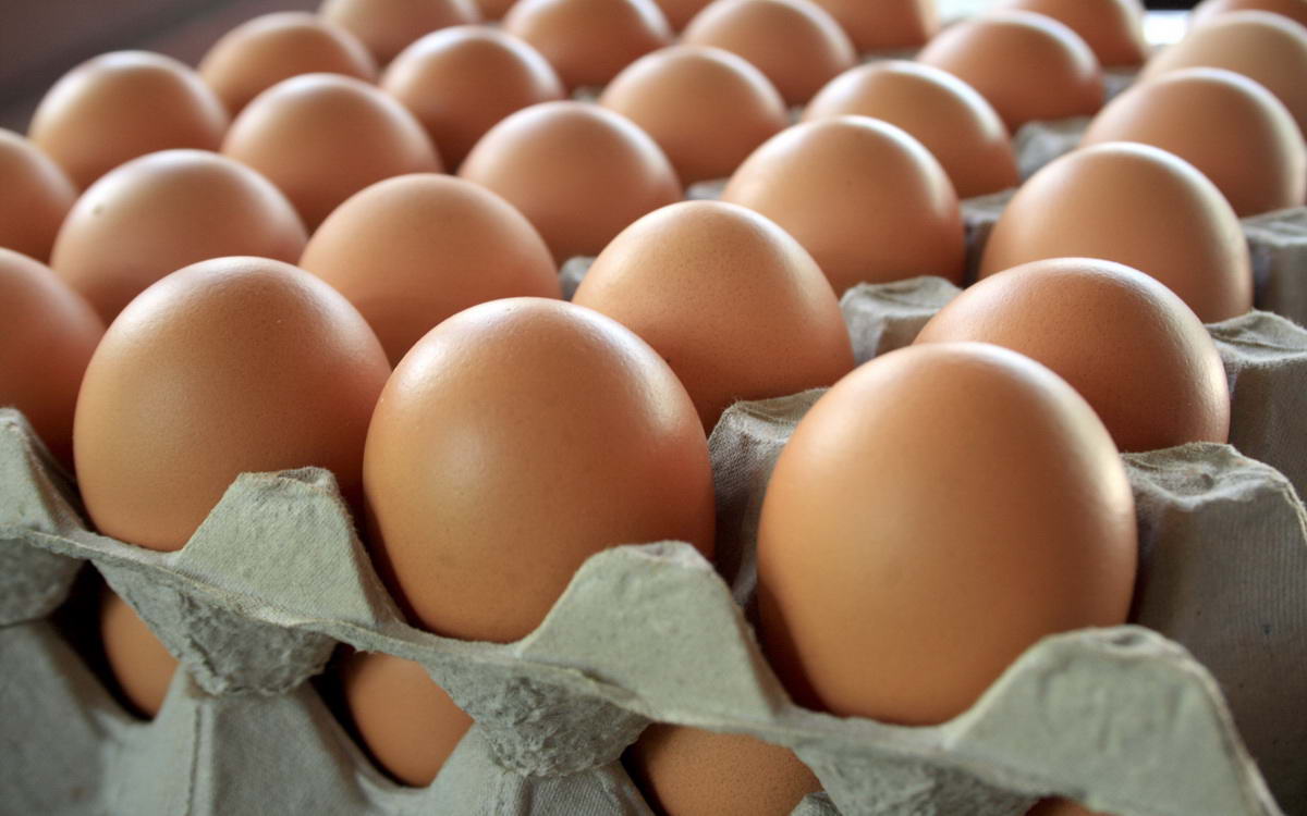 Осторожно, яйца!