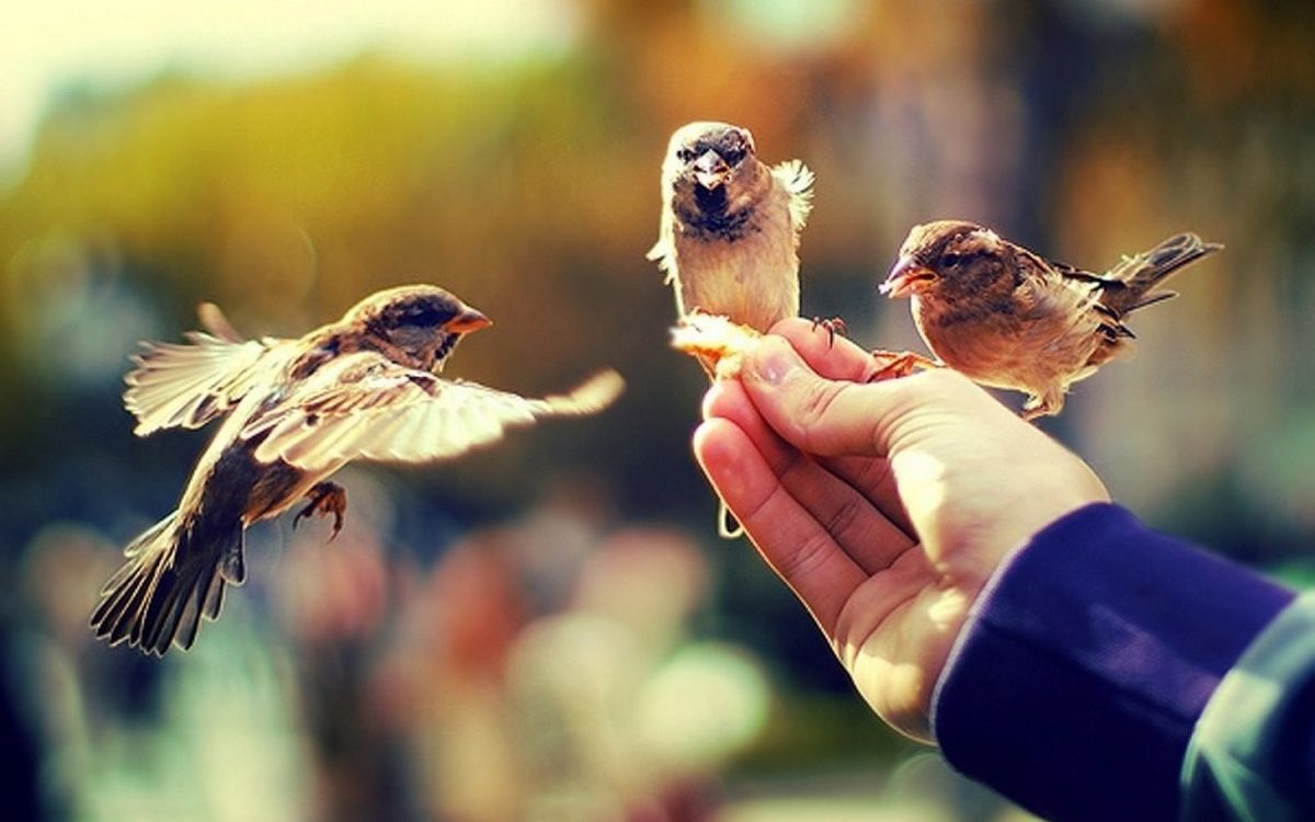 Сам щедрость с Большой Конюшенной