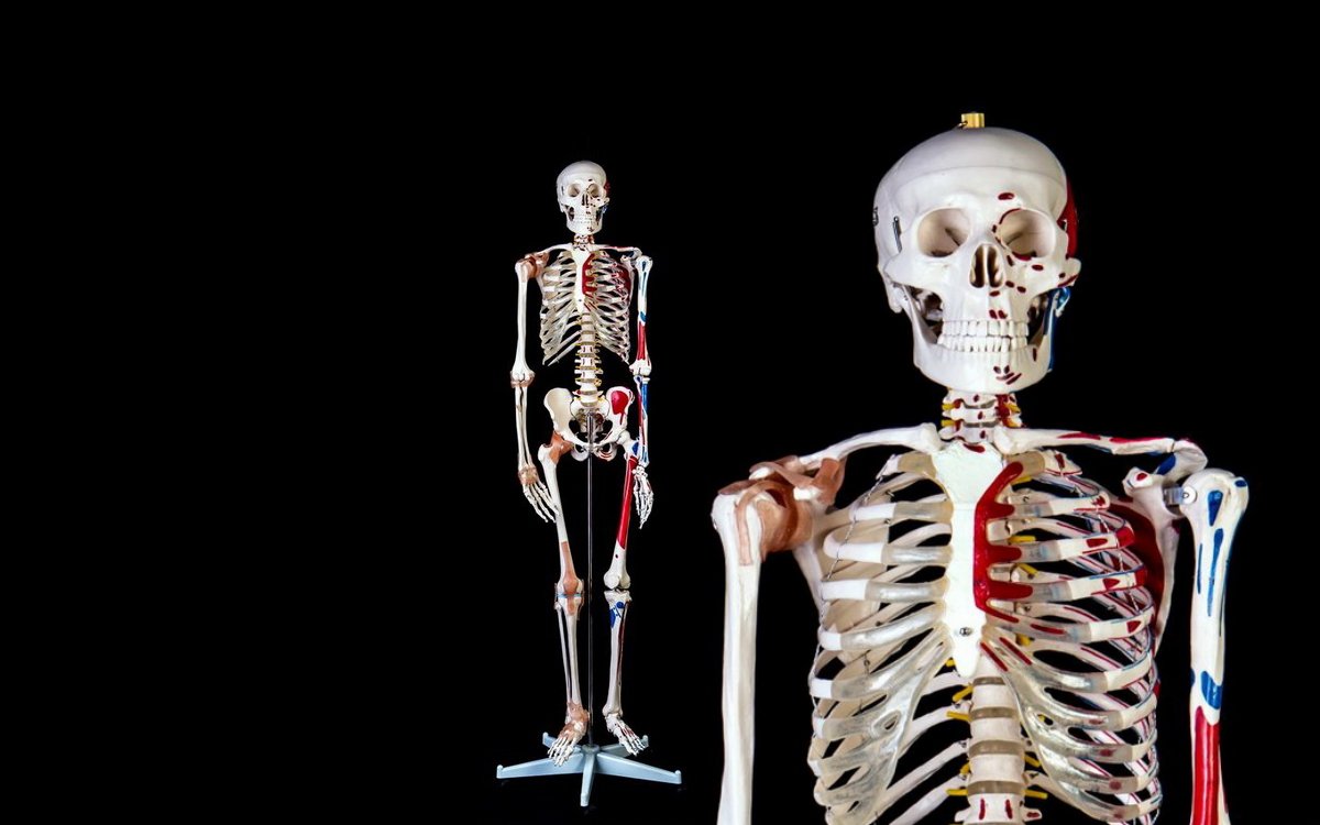 Анатомия недоимок