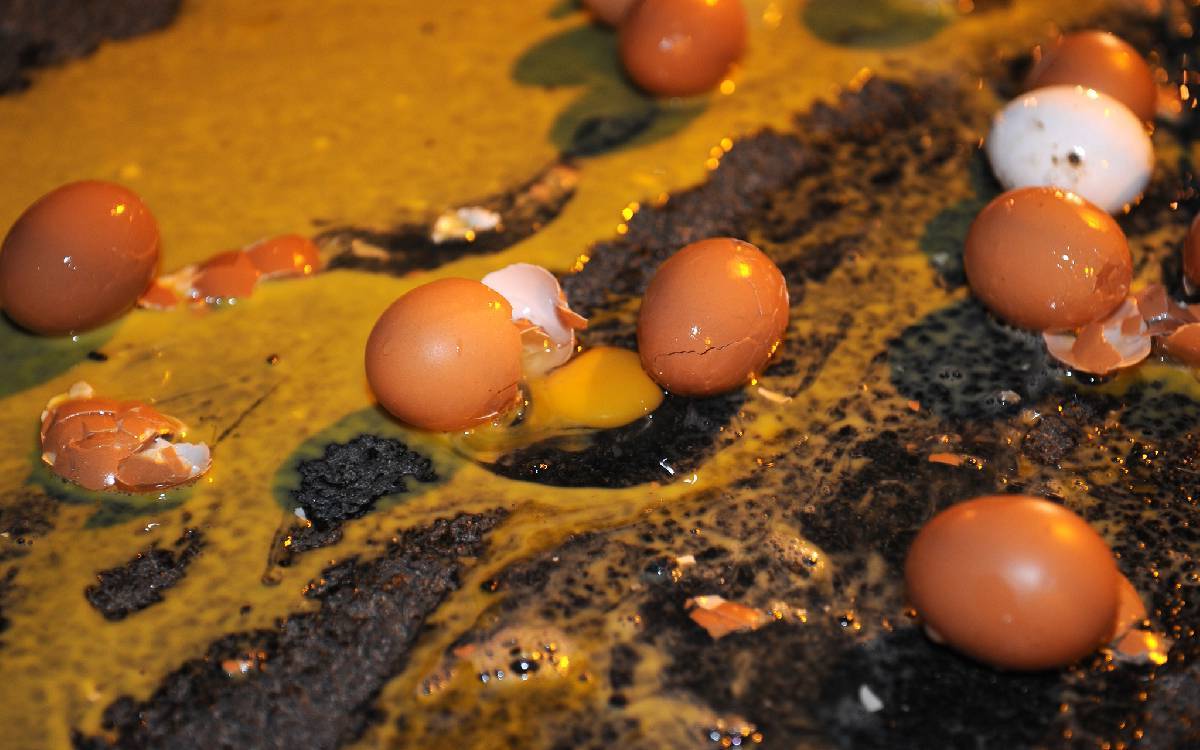 Осторожно, снова яйца!