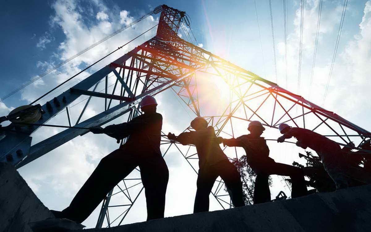 Попал в сети